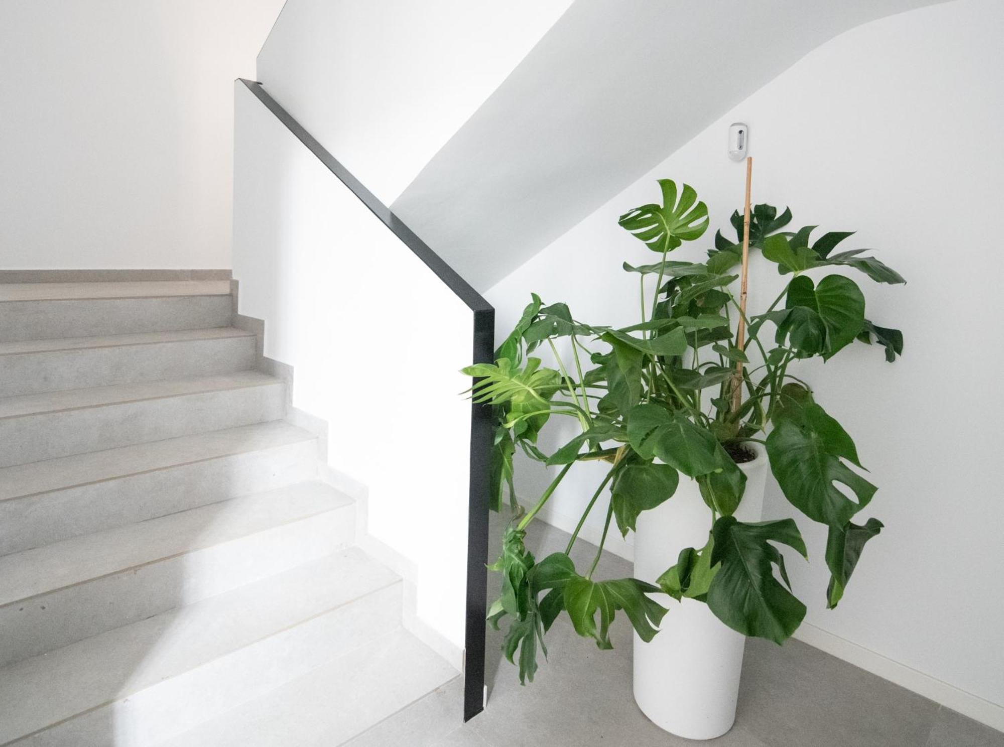 Malvarrosa Appartement Valence